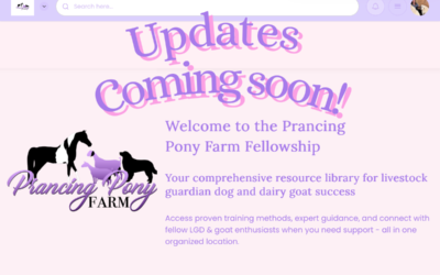 Free LGD Community Revived: Survey Results & What’s Coming for Premium Clients