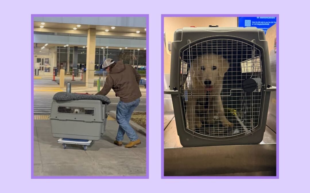 Why I’m sharing this (and why it matters)