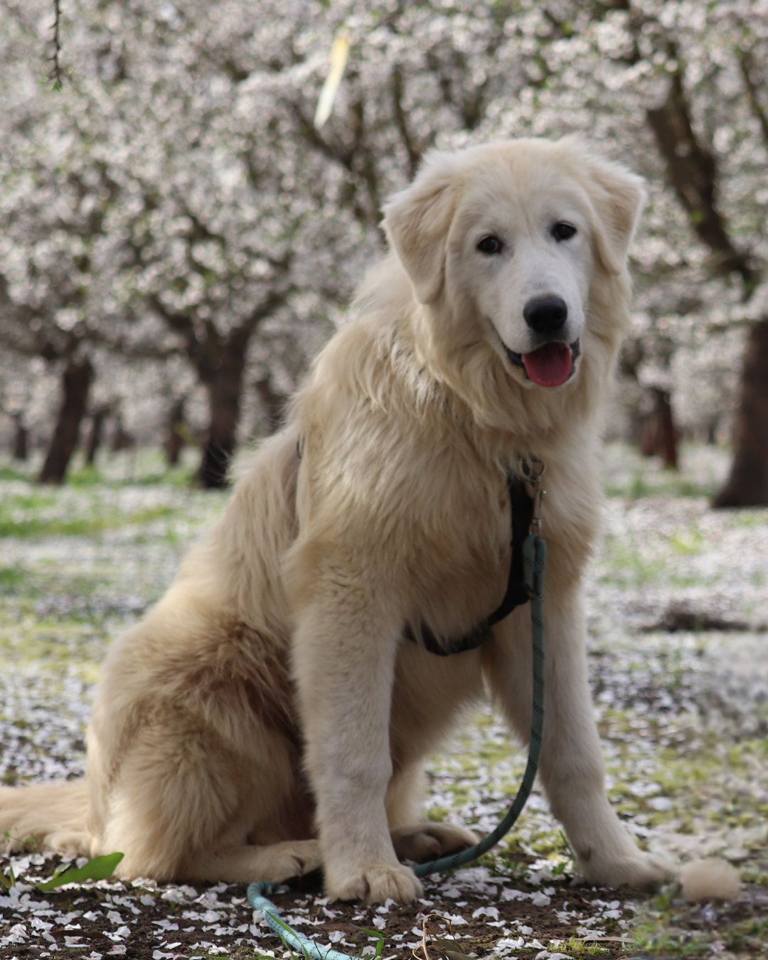 107 1 Kim Crawmer, KPA CTP, LFDM