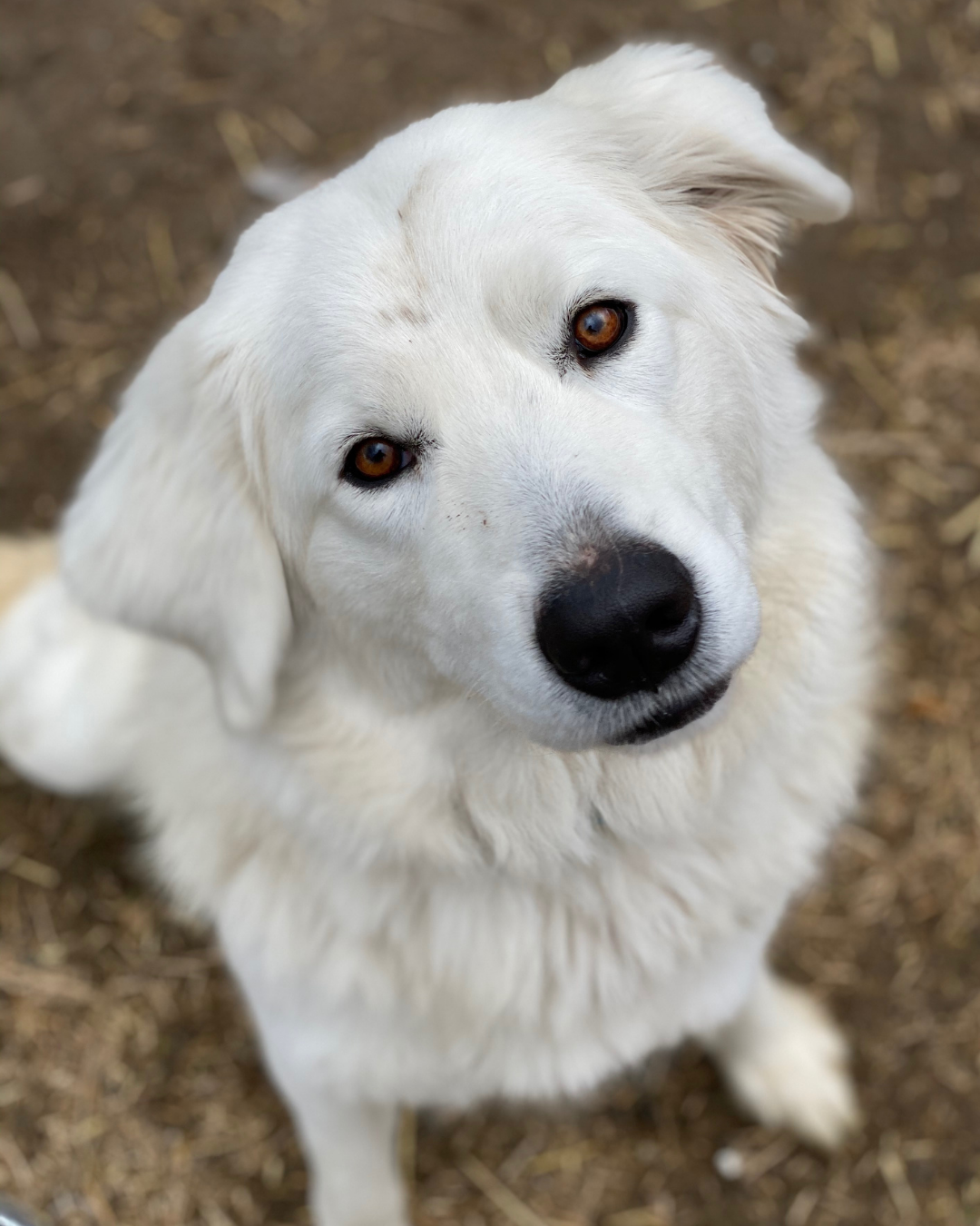 11 Master Reservation List