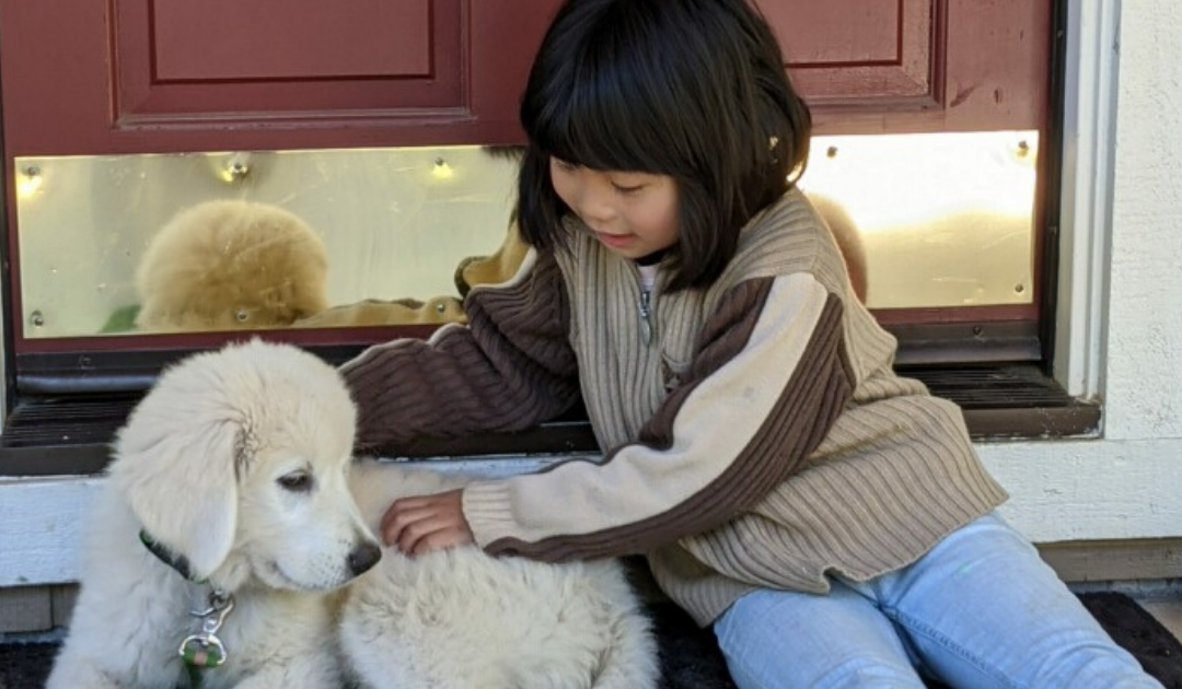 Keeping Everyone Safe: Dog Bite Prevention and Livestock Guardian Dogs