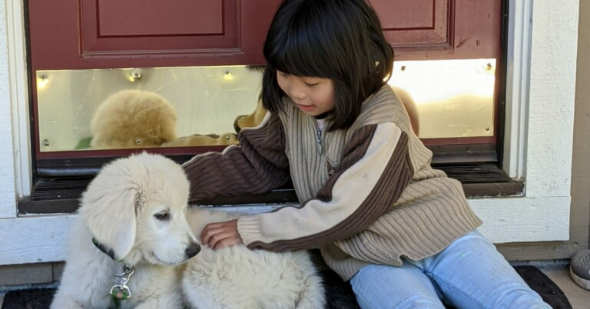 112 1 Your Puppy's Go-Home Window