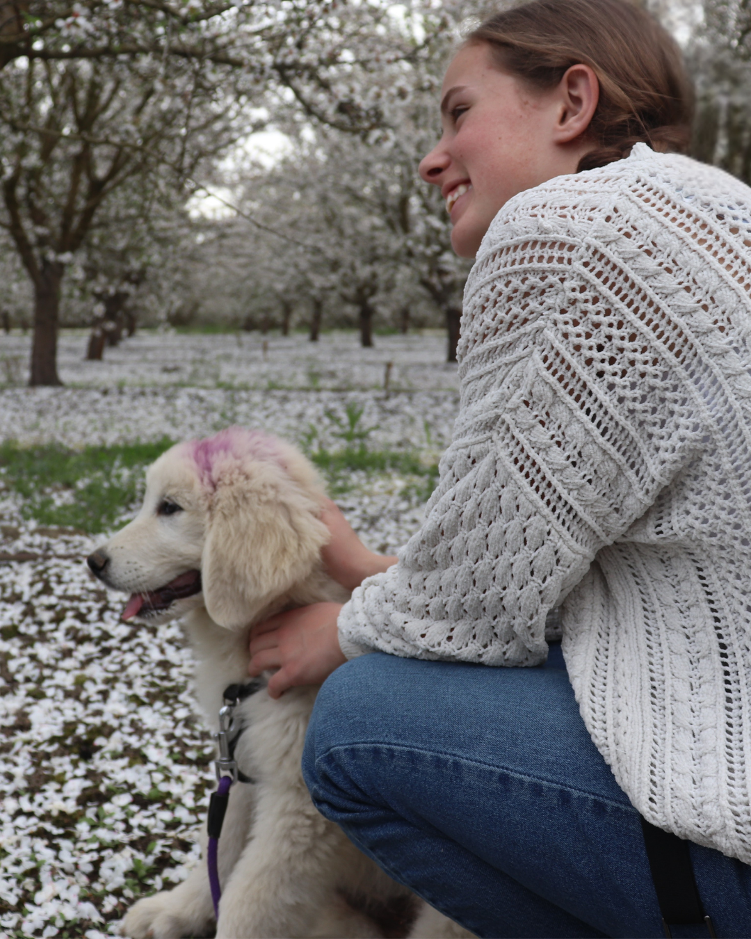 136 Should You Get a Maremma Sheepdog?