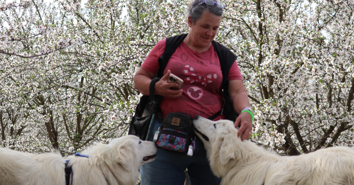 27 Why I Recommend Karen Pryor Academy Dog Trainer Foundations to Every Maremma Sheepdog Owner