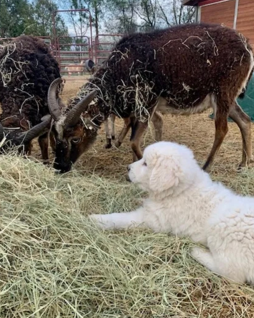 43 Master Reservation List