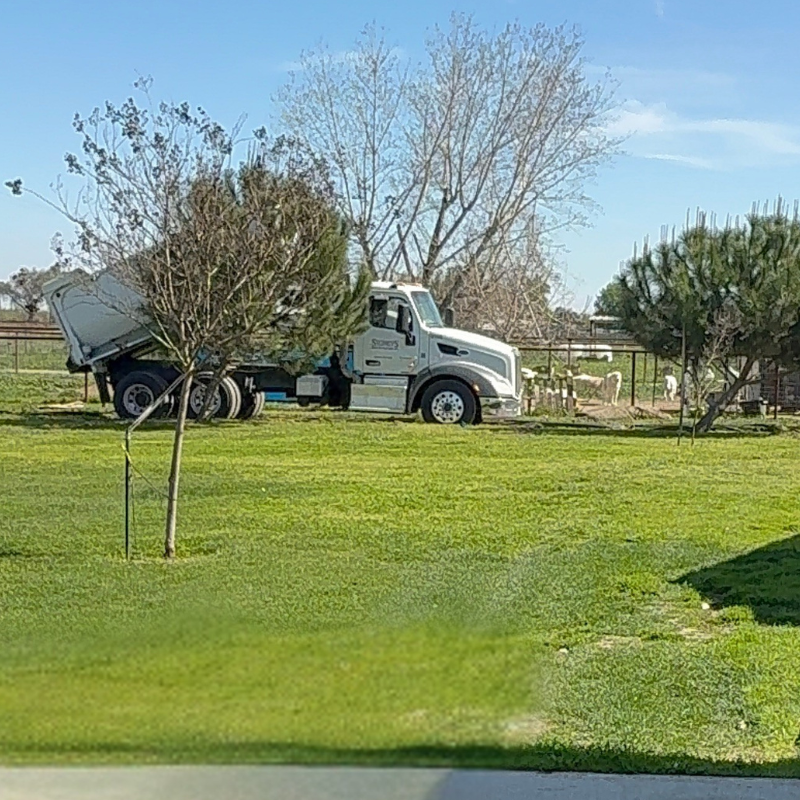 800 x 800 Blog Image 17 February Farm Recap: Puppies, Placements & Big Changes