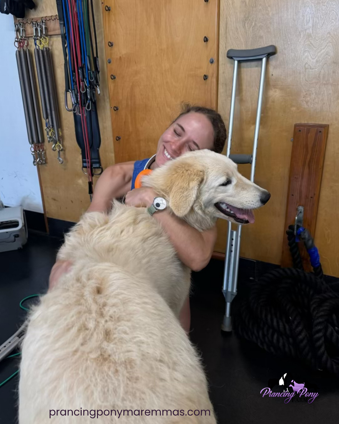 Instagram Post (3) Instagram Post 3 Adopting a Maremma Puppy from the Mainland: How Caia Came Home to Maui