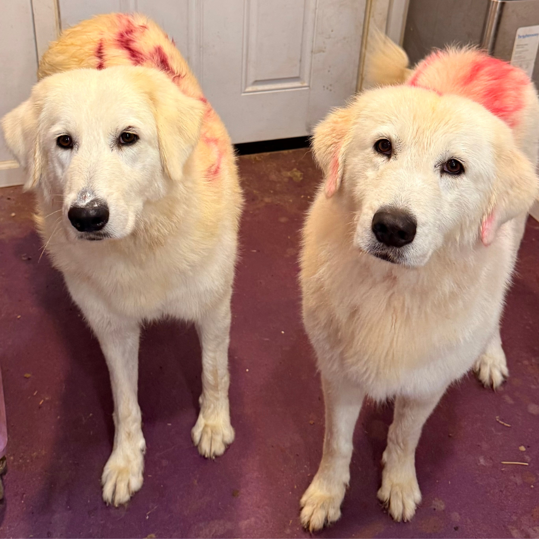 Square Photos for website 9 Master Reservation List