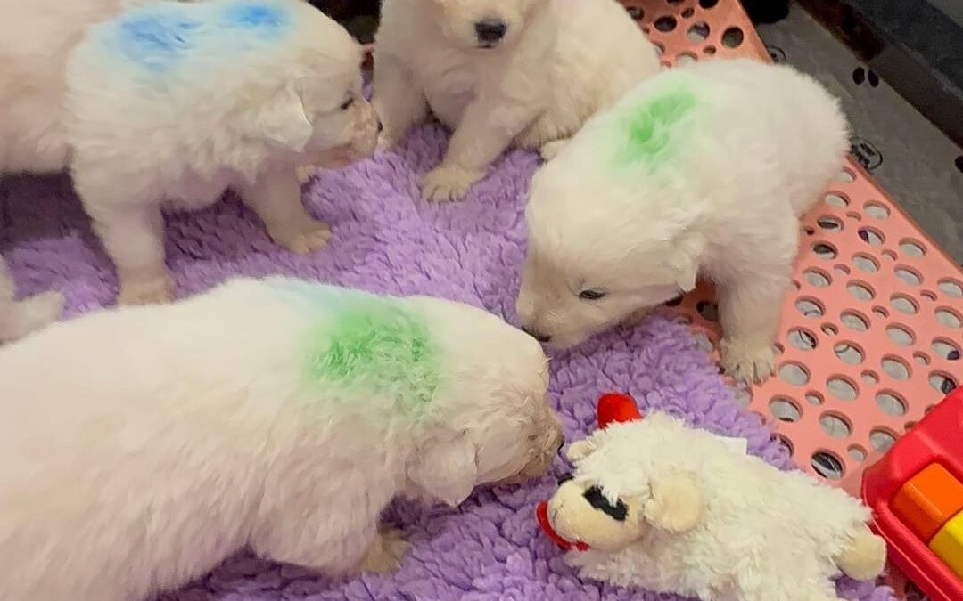 What 95% of my clients have in common (it’s not what you think)