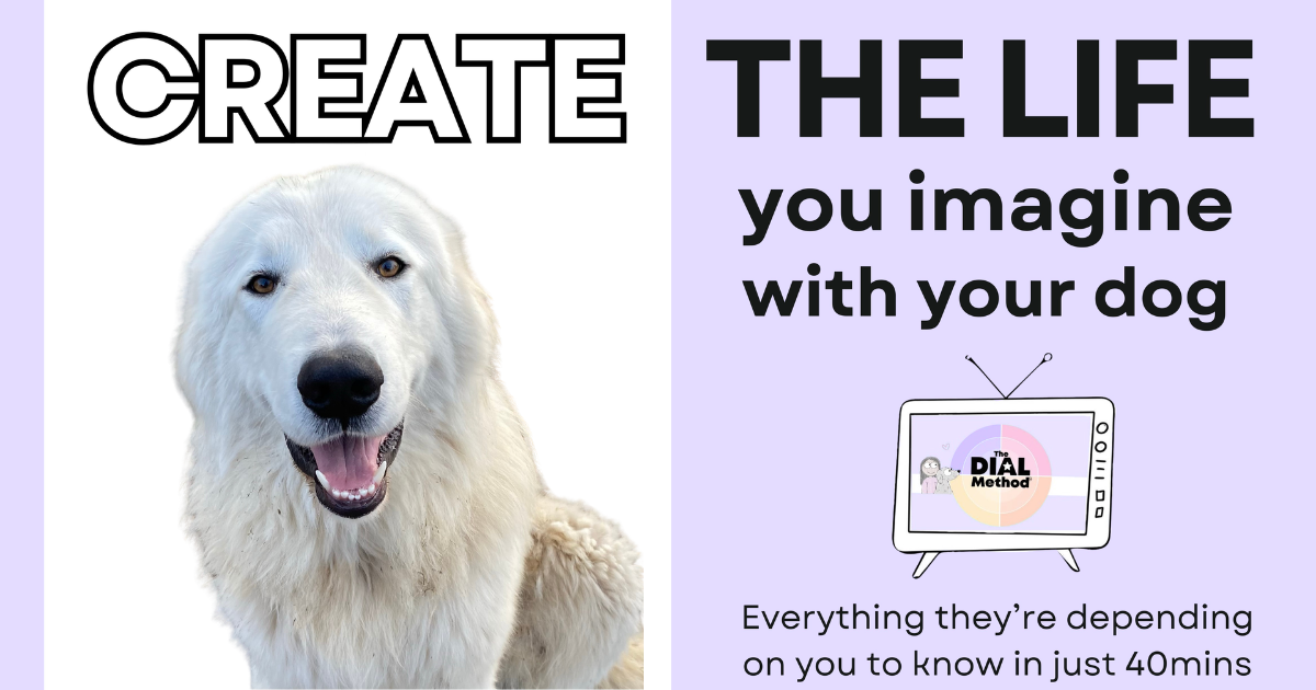 8 6 Maremma Sheepdogs and Children: Building a Safe, Loving Bond That Lasts