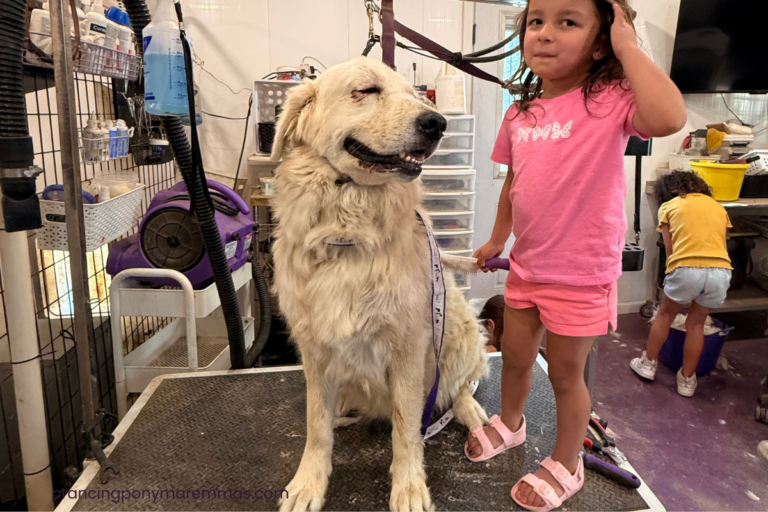 LGD Skin Problems: What’s Normal for Livestock Guardian Dogs?