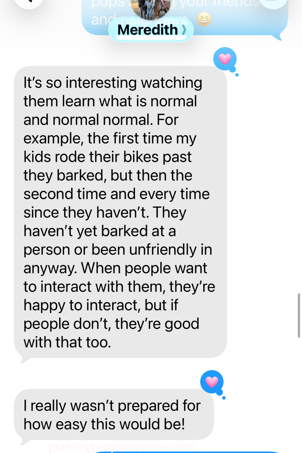 Pinterest Pin 4 Five Maremma Sheepdogs Placed in One Week — What Real LGD Success Looks Like