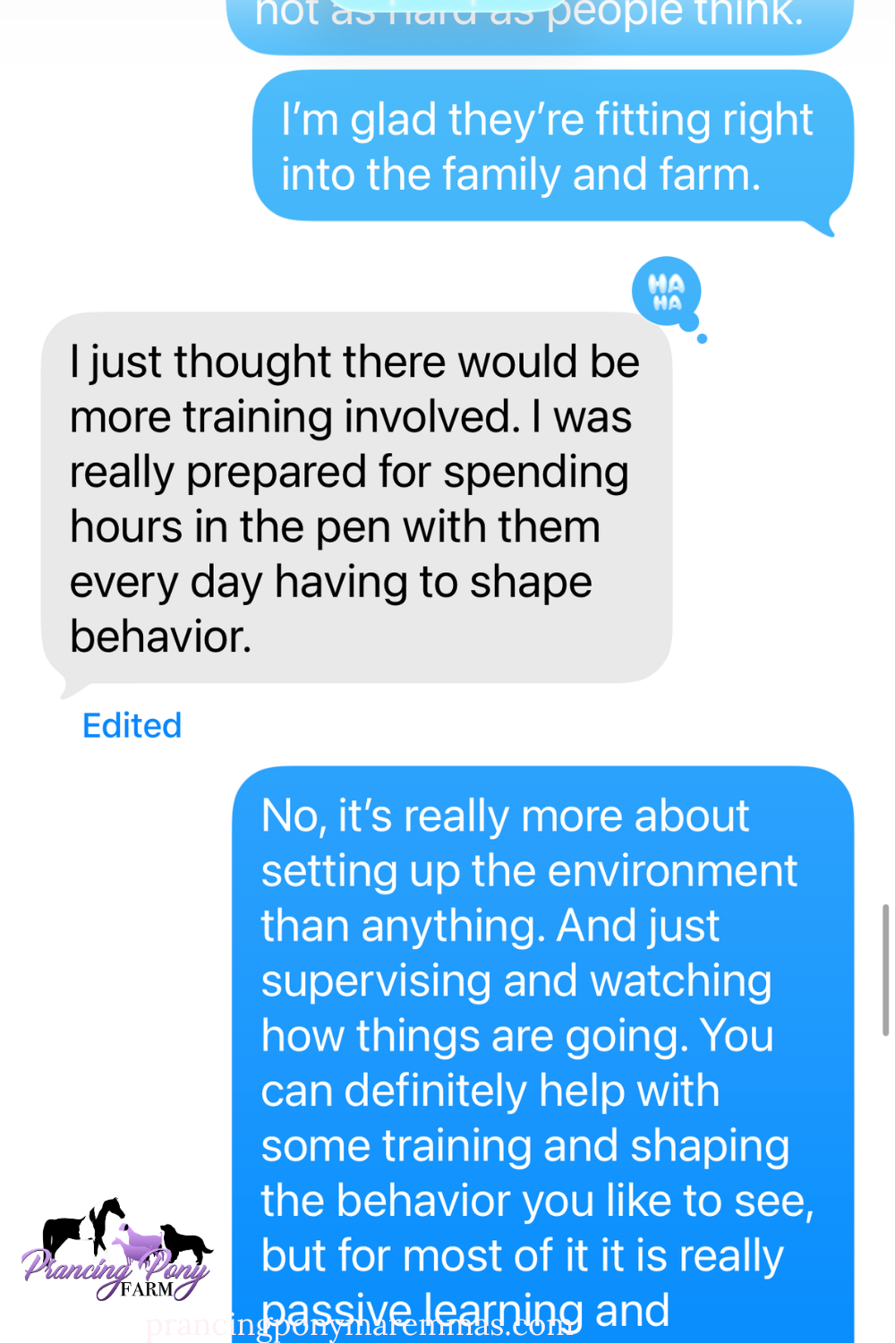 Pinterest Pin 6 Five Maremma Sheepdogs Placed in One Week — What Real LGD Success Looks Like