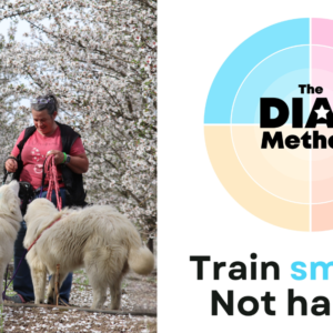 Maremma Training: DIAL Method® + Consultation Bundle