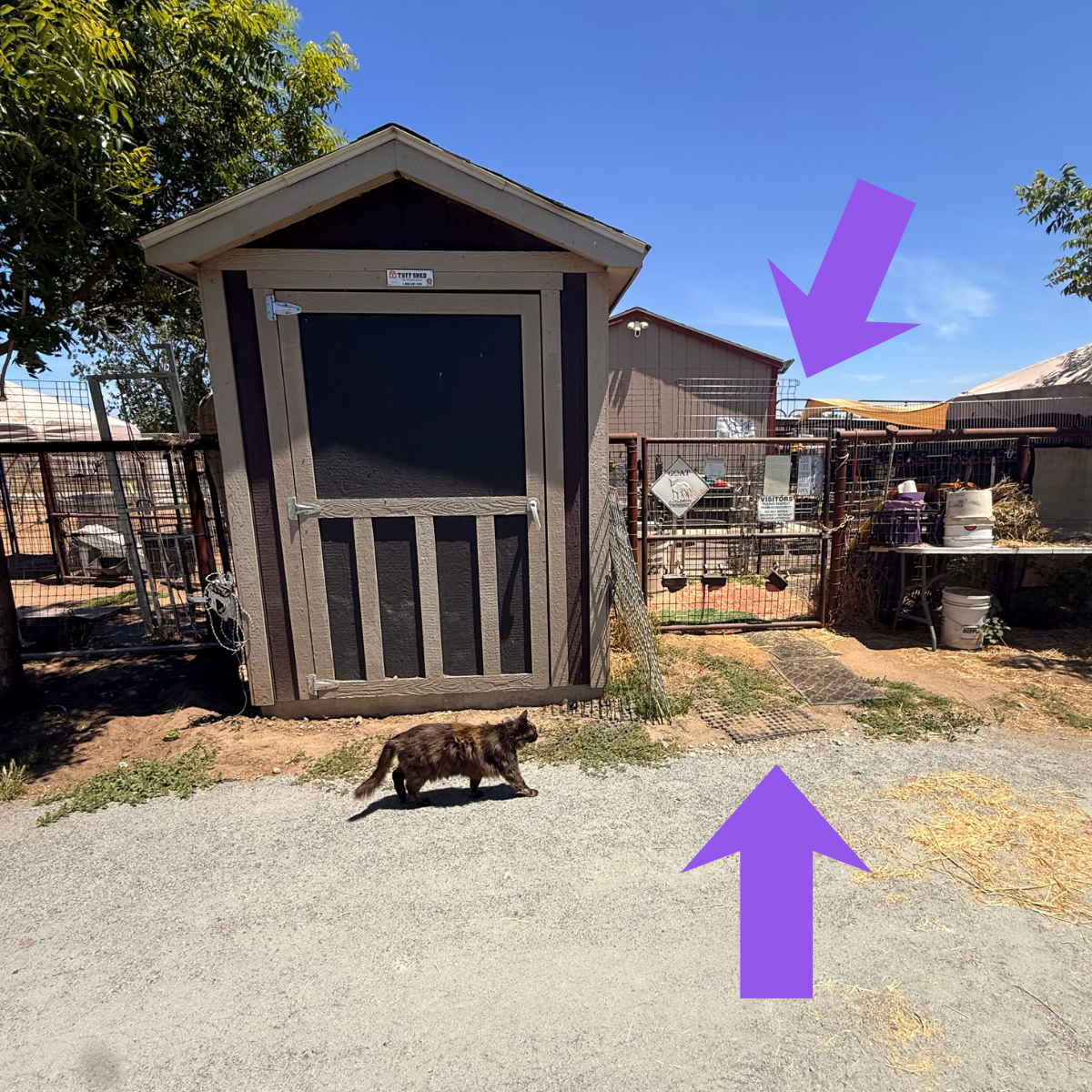 4 4 Farm Directions & Arrival Guide