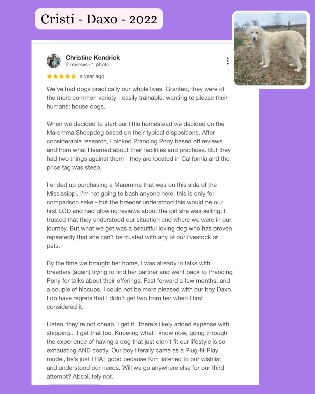 IG Client Quotes Ready to Reserve Your Maremma