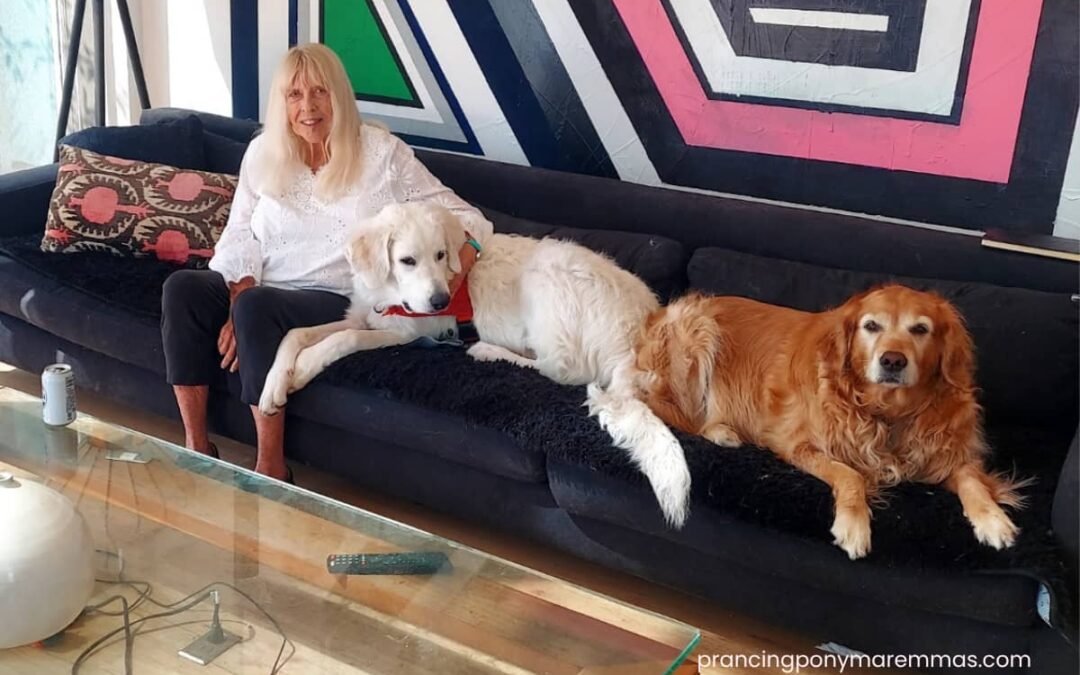 What Maremma Sheepdog Breeder Support Really Looks Like: One Sunday, Three Clients.