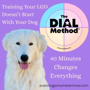 The Dial Method® - Science-based Livestock Guardian Dog Training & Integration Program