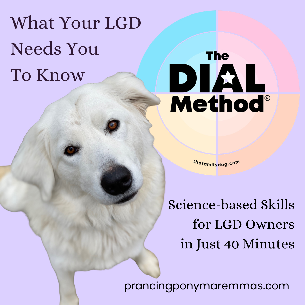 5 5 2 The Dial Method®