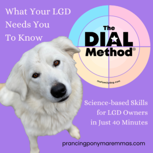 Maremma Training: DIAL Method® + Consultation Bundle