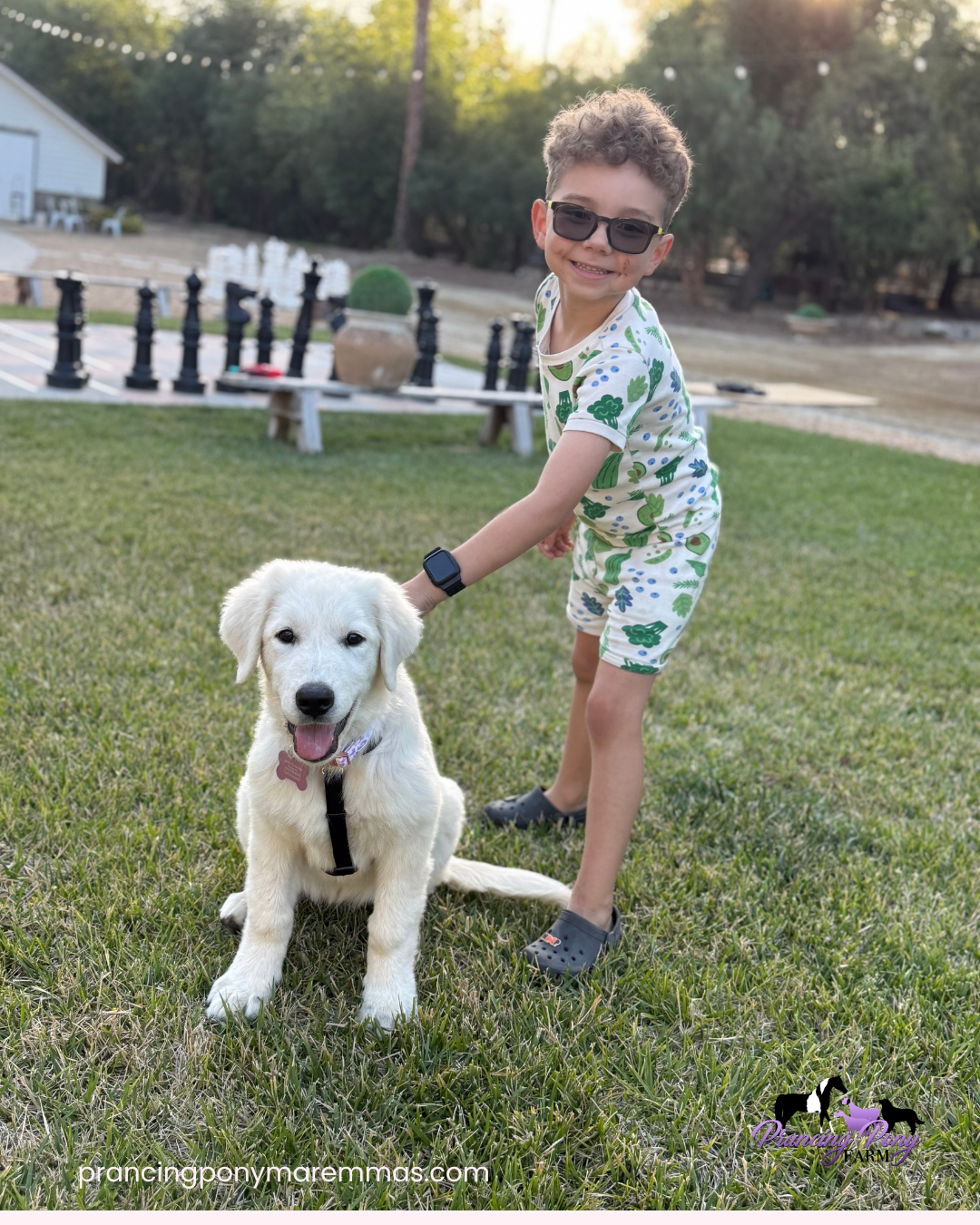 Instagram Post (4) Instagram Post 4 Do You Need a Livestock Guardian Dog in the Suburbs? Why Coyote Country Isn't Just for Farms