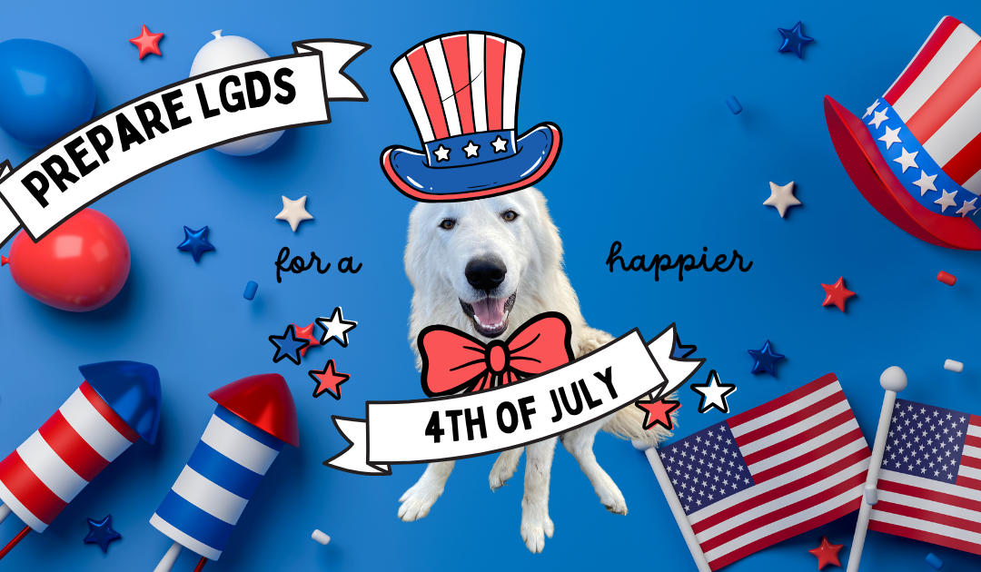 How to Prepare Your Maremma Sheepdog for 4th of July Fireworks