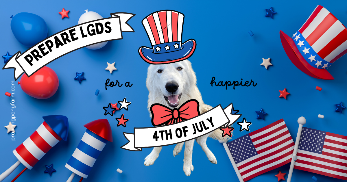How to Prepare Your Maremma Sheepdog for 4th of July Fireworks
