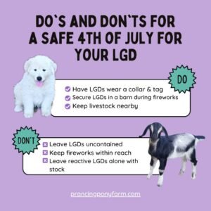 g4pprFLRs9sKTMMiW9a2k1 Preparing Your Livestock Guardian Dog for 4th of July Fireworks