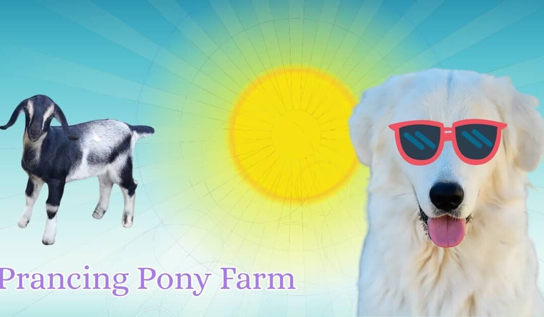 🌞 Your LGD summer survival guide (it’s mostly about water)
