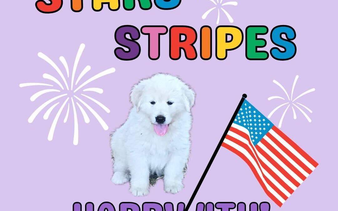 Before the fireworks start — a note from Kim