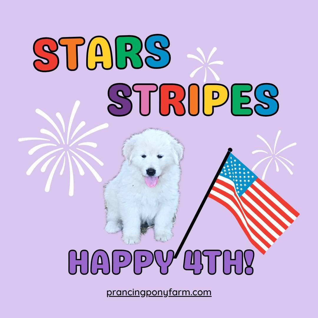 Before the fireworks start — a note from Kim