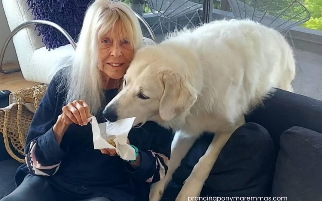 Maremma Sheepdog: Working Dog, Companion, or Both?