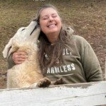 136715057 Success Stories: Prancing Pony Maremmas Thriving Across North America