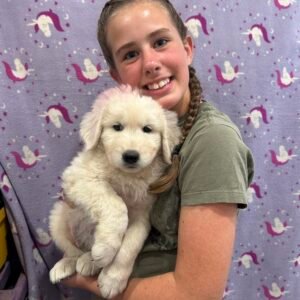 920485063 Inside Our Maremma Puppy Program