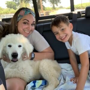 3225918401 Inside Our Maremma Puppy Program