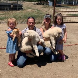 1154474627 Inside Our Maremma Puppy Program