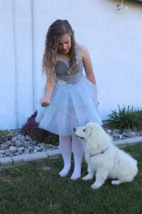 814959677 Inside Our Maremma Puppy Program