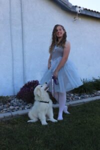 2556555246 Inside Our Maremma Puppy Program