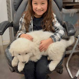 1138076698 Inside Our Maremma Puppy Program