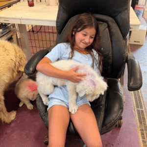 1506494899 Inside Our Maremma Puppy Program