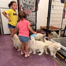 Pax & Electra Litter 4/25