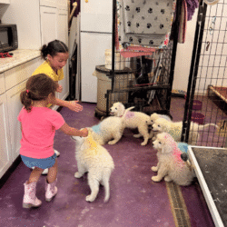 Pax & Electra Litter 4/25