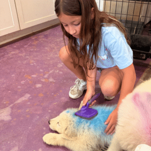 1185982624 Inside Our Maremma Puppy Program