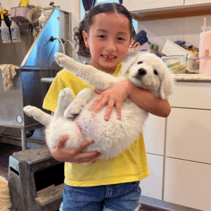 3185578509 Inside Our Maremma Puppy Program