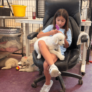 3696135827 Inside Our Maremma Puppy Program