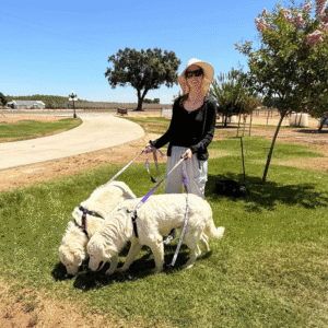 Pax & Marcella Litter 6/24
