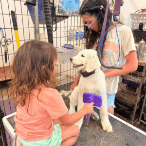 2895678264 Inside Our Maremma Puppy Program