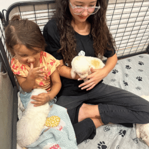 252265852 Inside Our Maremma Puppy Program
