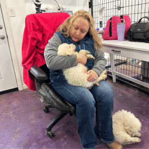 609514950 Inside Our Maremma Puppy Program