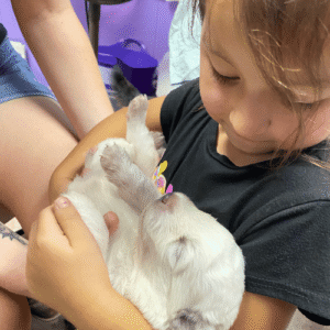 2768201809 Inside Our Maremma Puppy Program